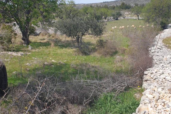 Brač, građevinsko zemljište