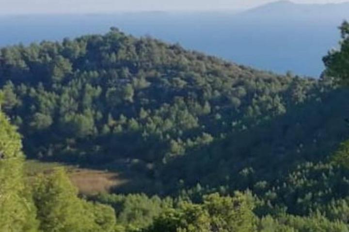 Korčula zemljište 31. 700m2 za gradnju vile 