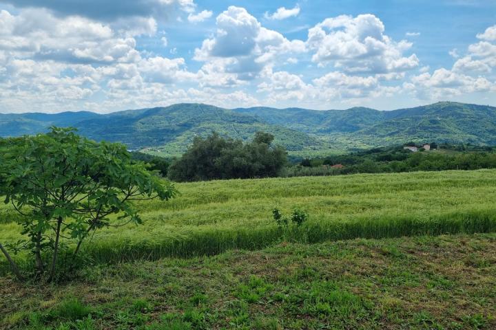 Istra, Buzet, građevinsko zemljište s pogledom na zelenilo  u pravoj oazi mira