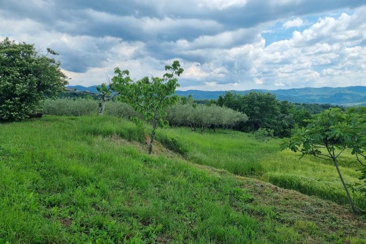 Istra, Buzet, građevinsko zemljište s pogledom na zelenilo  u pravoj oazi mira