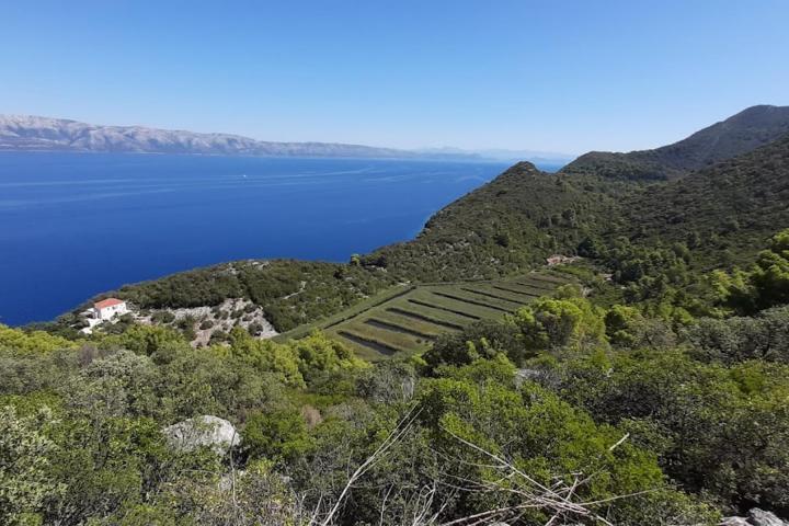 Otok Mljet, kuća prvi red do mora