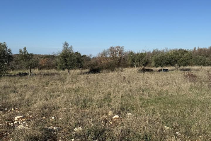 Istra, Poreč, Građevinsko zemljište s pogledom na more 1251 m2