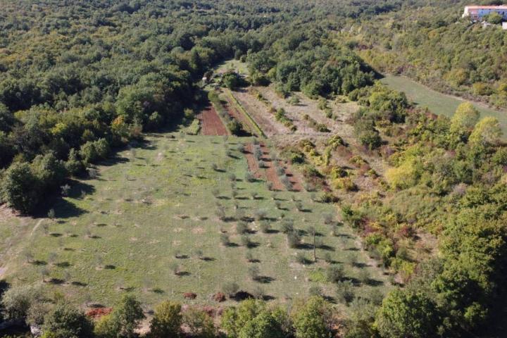 Labin okolica, Stara kamena kuća s 27. 000 m2 poljoprivrednog zemljišta, vinograd i voćnjaci