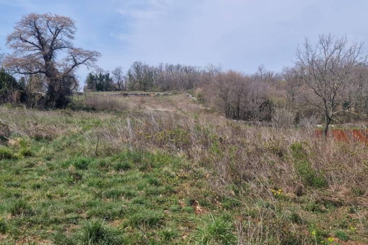 Istra, Karojba 3465m2 građevinskog zemljišta + 1200m2 poljoprivrednog