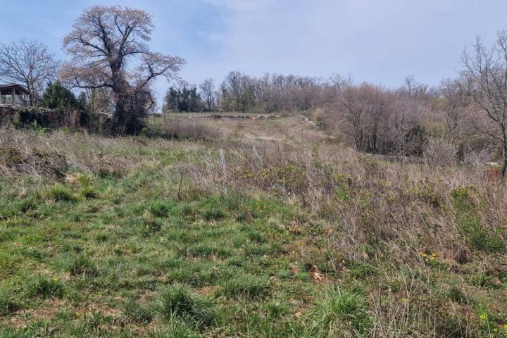 Istra, Karojba 3465m2 građevinskog zemljišta + 1200m2 poljoprivrednog