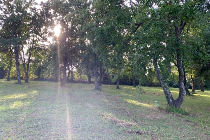 Istra, Tar - građevinsko zemljište 1. red do mora sa panoramskim pogledom