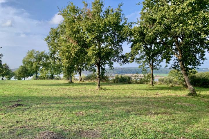 Istra, Tar - građevinsko zemljište 1. red do mora sa panoramskim pogledom