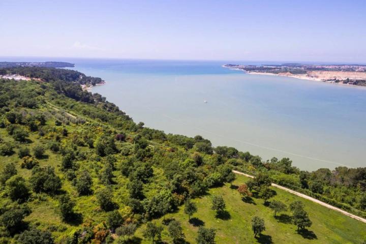 Istra, Tar - građevinsko zemljište 1. red do mora sa panoramskim pogledom