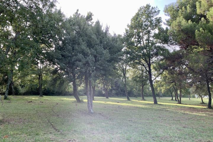 Istra, Tar - građevinsko zemljište 1. red do mora sa panoramskim pogledom