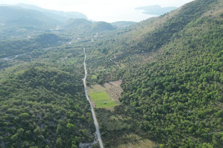 Orašac, poljoprivredno zemljište 9000 m2