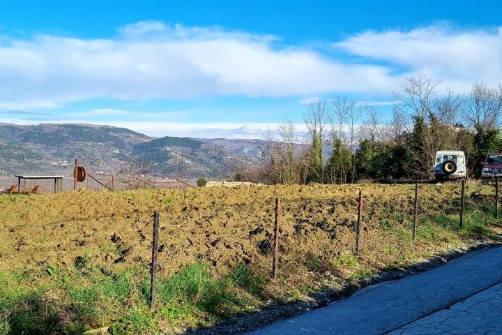 Istra, Motovun, obiteljska kuća s velikim potencijalom