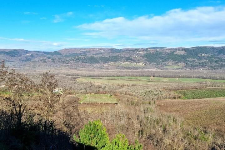 Istra, Motovun, obiteljska kuća s velikim potencijalom