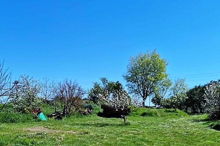 Pula, kuća na imanju od 4500 m2 s bazenom, konobom u istarskom stilu, vinskim podrumom, apartmanom 