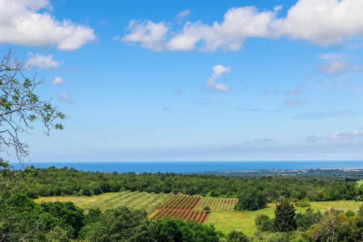 Istra, Višnjan, namještena vila s okućnicom, jedinstvena lokacija 