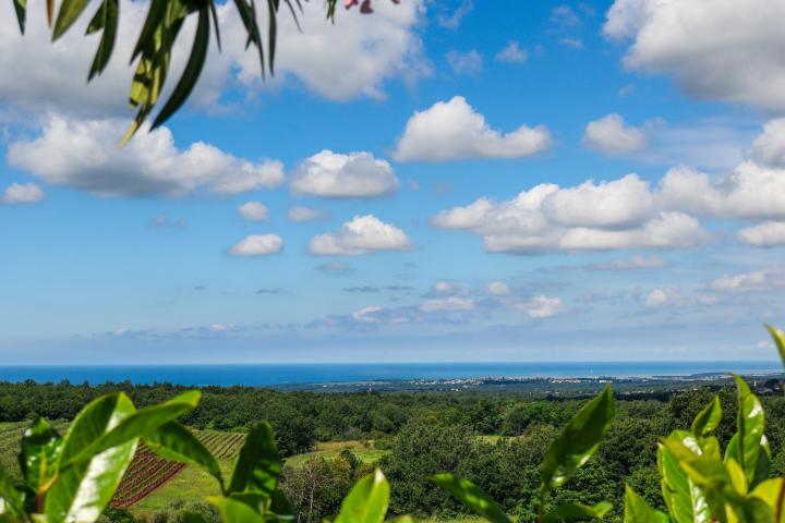 Istra, Višnjan, namještena vila s okućnicom, jedinstvena lokacija 