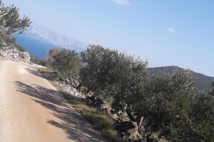 Hvar, Zastražišće, poljoprivredno zemljište, s pogledom na more