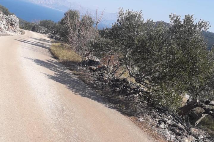 Hvar, Zastražišće, poljoprivredno zemljište, s pogledom na more