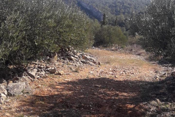 Hvar, Zastražišće, poljoprivredno zemljište, s pogledom na more