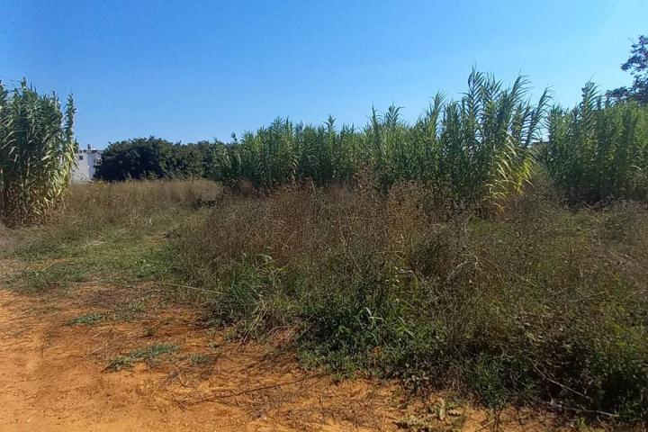 Pula, Valdebek, građevinsko zemljište na idealnoj lokaciji, 901 m2