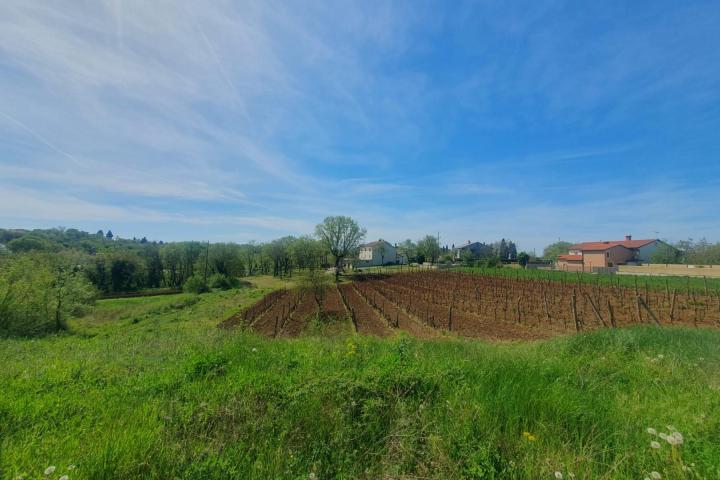 Istra, Novaki Motovunski, građevinsko zemljište