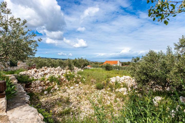  Brač, Supetar kamena kuća s pogledom na more