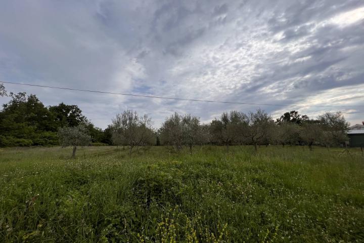 Istra, Juricani, na prodaju građevinsko zemljište 1720m2