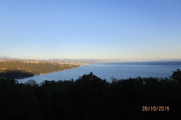 Opatija luksuzna vila sa 5 stanova i bazenom