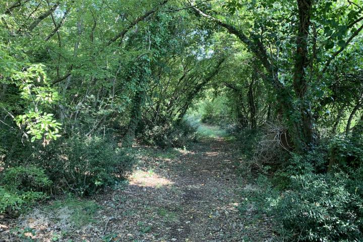 Poreč iznad Plave lagune atraktivno poljoprivredno zemljište