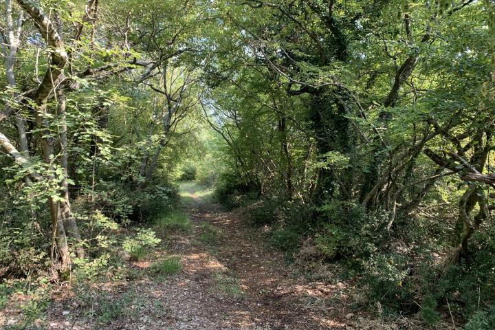 Poreč iznad Plave lagune atraktivno poljoprivredno zemljište