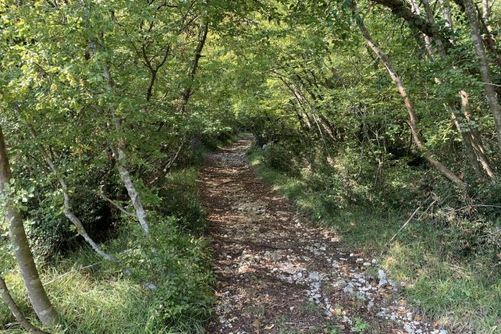 Poreč iznad Plave lagune atraktivno poljoprivredno zemljište