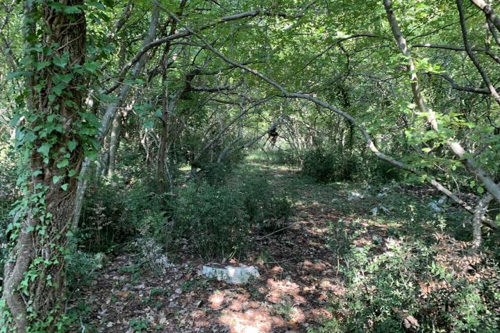 Poreč iznad Plave lagune atraktivno poljoprivredno zemljište