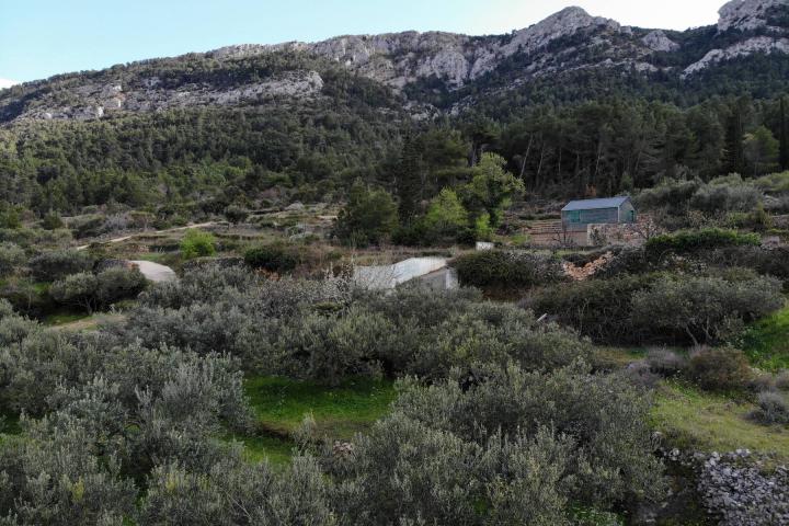 Otok Hvar, Jelsa, atraktivno građevinsko zemljište 1110, 50 m2 s idejnim projektom