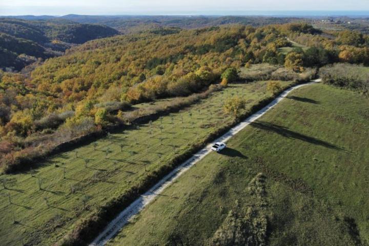 Istra, Momjan - zemljište 4137m2 od kojih je 1871m2 građevinsko