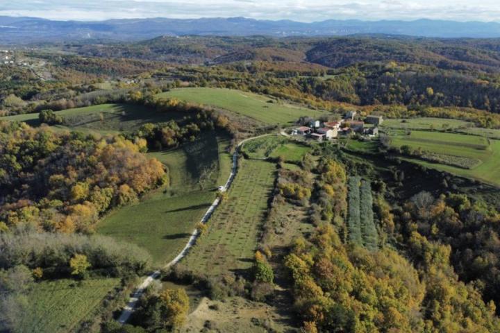 Istra, Momjan - zemljište 4137m2 od kojih je 1871m2 građevinsko