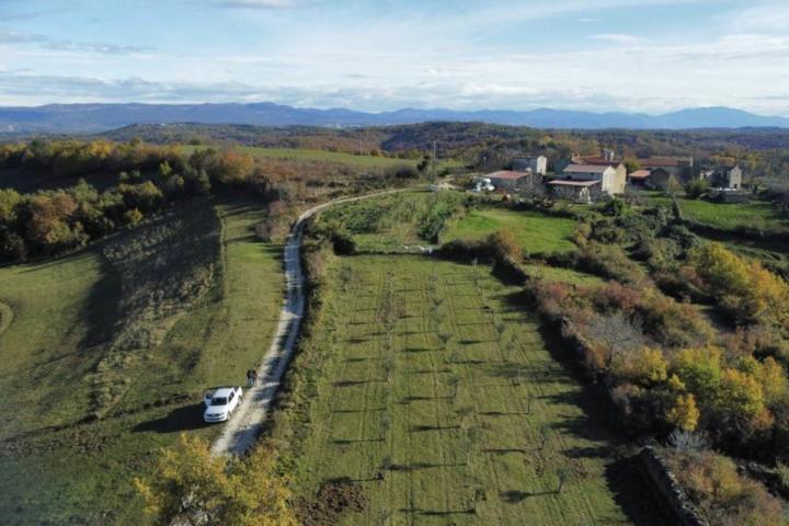 Istra, Momjan - zemljište 4137m2 od kojih je 1871m2 građevinsko