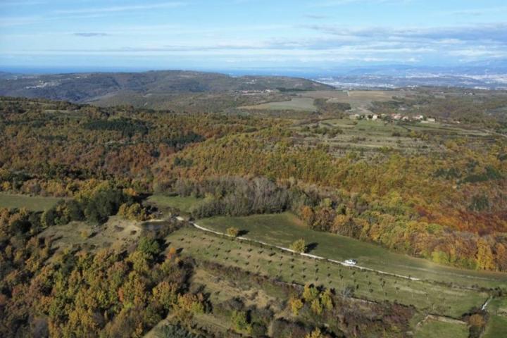 Istra, Momjan - zemljište 4137m2 od kojih je 1871m2 građevinsko