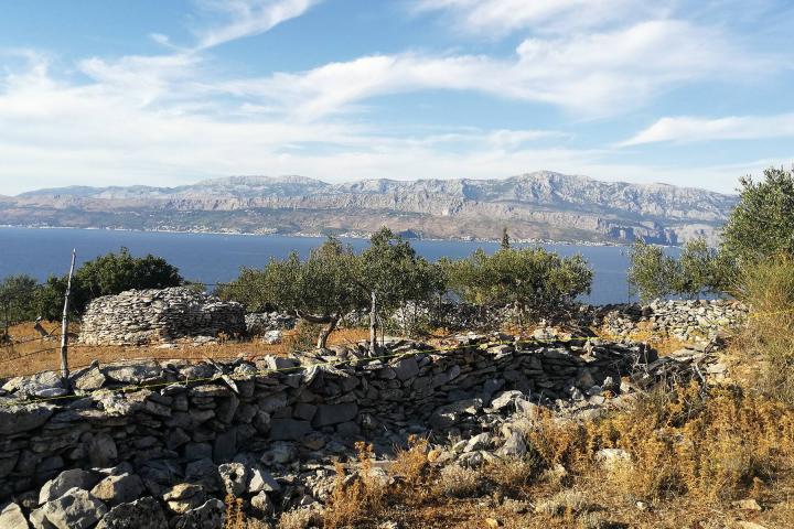 Brač, Postira, građevinsko zemljište s pogledom na more