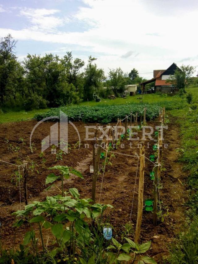 Kuća 80m2 sa okućnicom 39 ari u Starom Momčilovu, Žitorađa