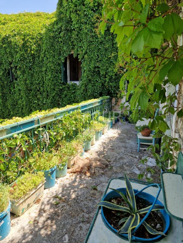 Island of Brač, Nerežišća, charming stone house