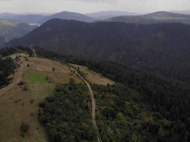 Prodaje se poljoprivredno i šumsko zemljište, 1. 01, 48 ha, Gujanička mala, Nova Varoš