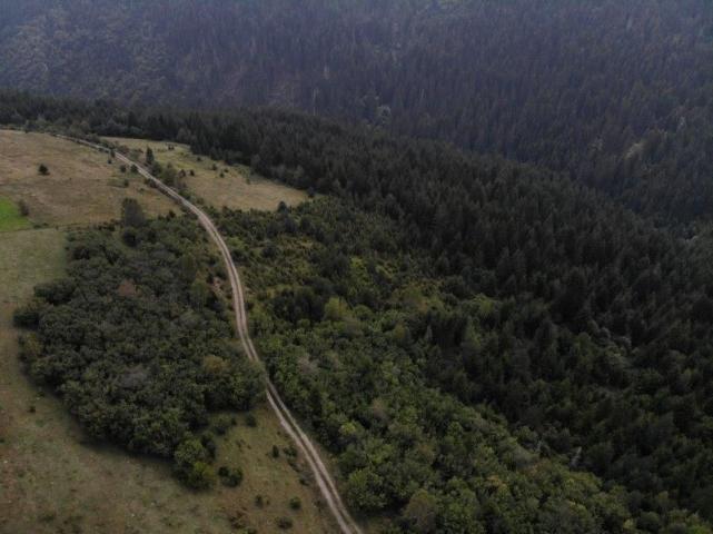 Prodaje se poljoprivredno i šumsko zemljište, 1. 01, 48 ha, Gujanička mala, Nova Varoš