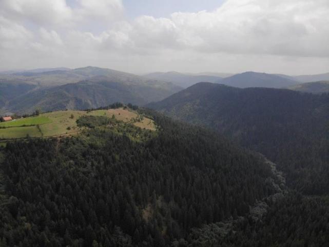 Prodaje se poljoprivredno i šumsko zemljište, 1. 01, 48 ha, Gujanička mala, Nova Varoš