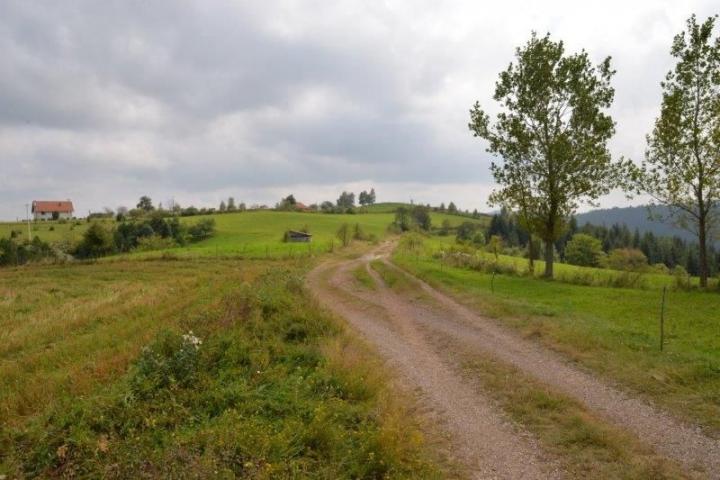 Prodaje se poljoprivredno i šumsko zemljište, 1. 01, 48 ha, Gujanička mala, Nova Varoš