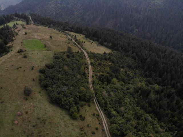 Prodaje se poljoprivredno i šumsko zemljište, 1. 01, 48 ha, Gujanička mala, Nova Varoš