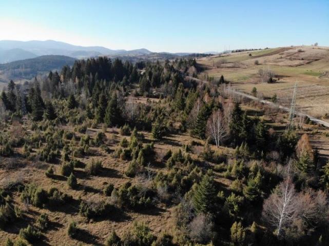 Prodaje se građevinsko  zemljište, 6169 m2, Komarani, Nova Varoš