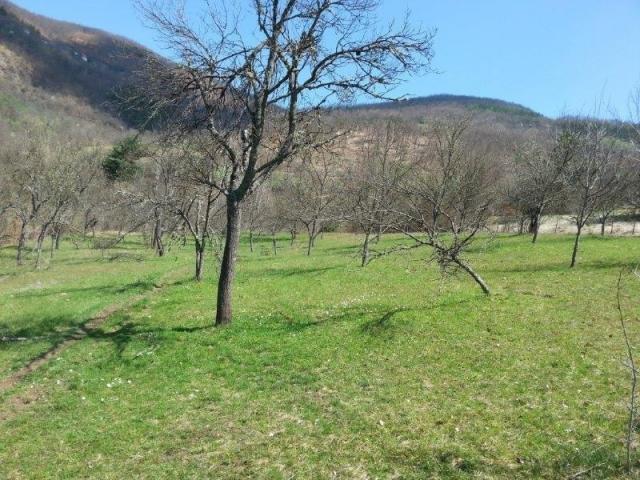 Izdaje se polj. gazdinstvo, 9. 61, 17 ha, Orovac, Seljašnica, Prijepolje