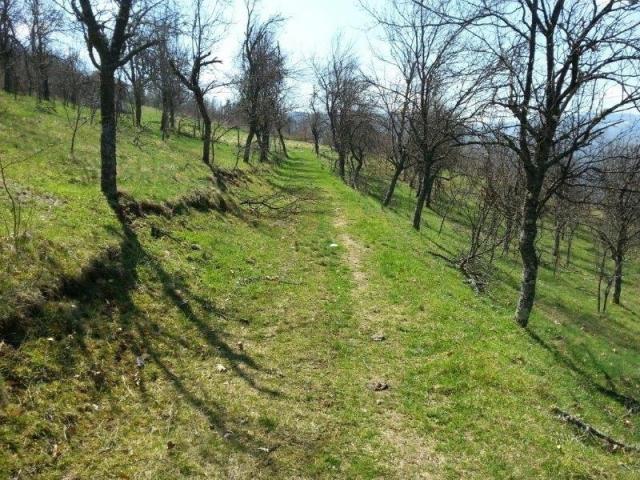 Izdaje se polj. gazdinstvo, 9. 61, 17 ha, Orovac, Seljašnica, Prijepolje