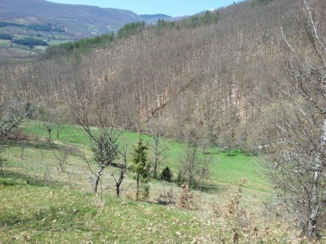 Izdaje se polj. gazdinstvo, 9. 61, 17 ha, Orovac, Seljašnica, Prijepolje