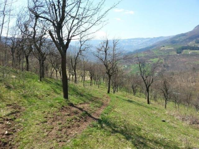 Izdaje se polj. gazdinstvo, 9. 61, 17 ha, Orovac, Seljašnica, Prijepolje