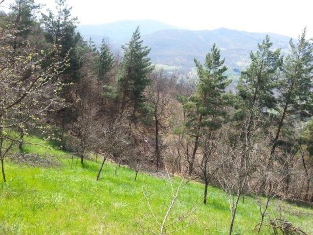 Izdaje se polj. gazdinstvo, 9. 61, 17 ha, Orovac, Seljašnica, Prijepolje